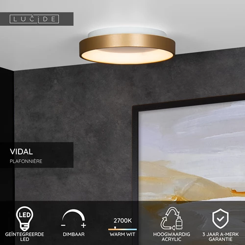 Lucide VIDAL - Plafonnière - Ø 28 cm - LED Dimb. - 1x20W 2700K - Mat Goud / Messing - USP